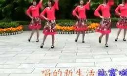 动动2014最新广场舞张灯结彩分解动作背面演