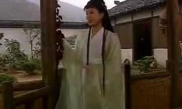 新天仙配之七仙女正传(98年版)第14集