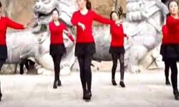 2014最新动动广场舞《火火的姑娘》_舞蹈视频