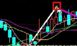 期货知识讲座视频全集_期货知识讲座视频观看